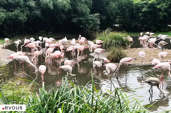 Die schönsten Zoos, Tierparks und Bauernhöfe in Paris